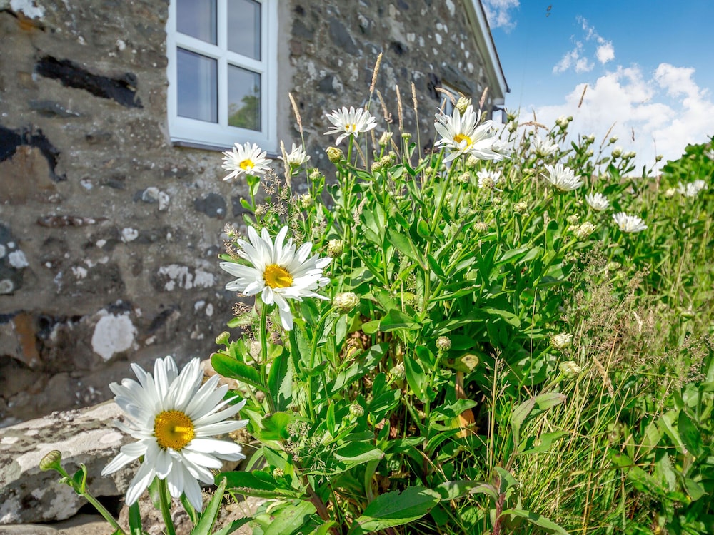 Cottage photo 1