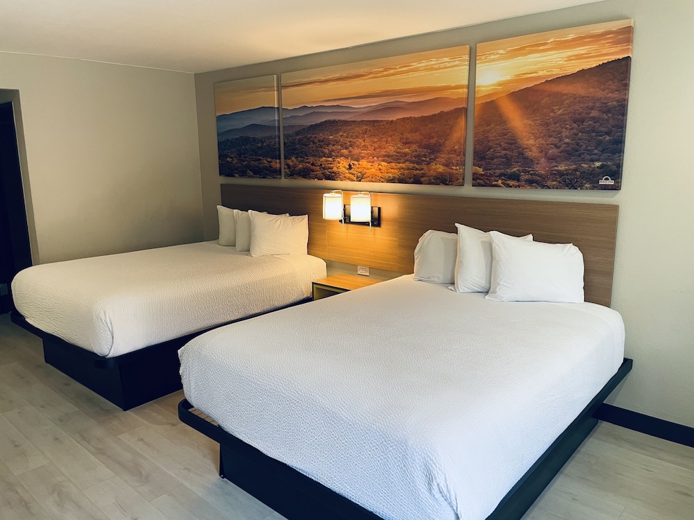 Standard Room, 2 Queen Beds photo 2