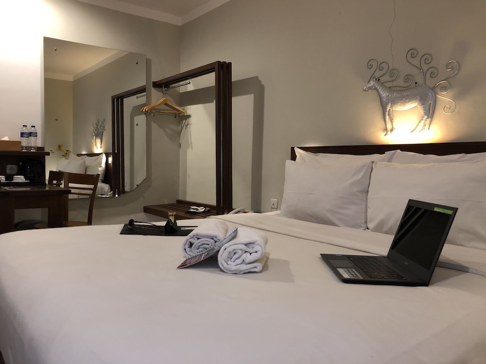Deluxe Double Room - Photo 7