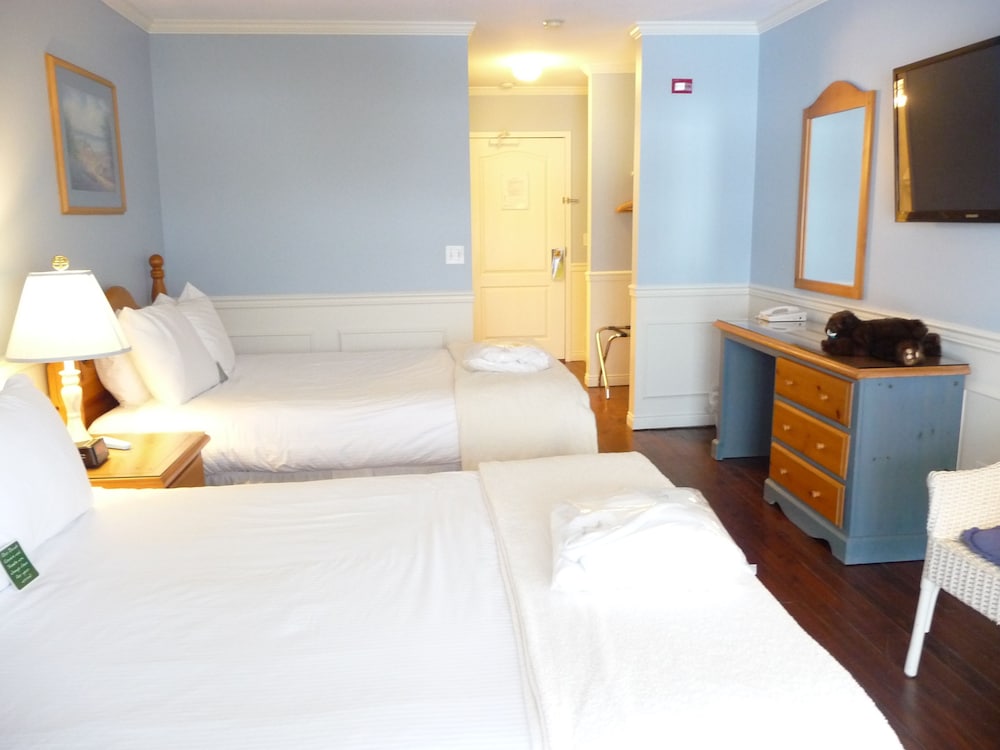 Standard Room, Mountain View