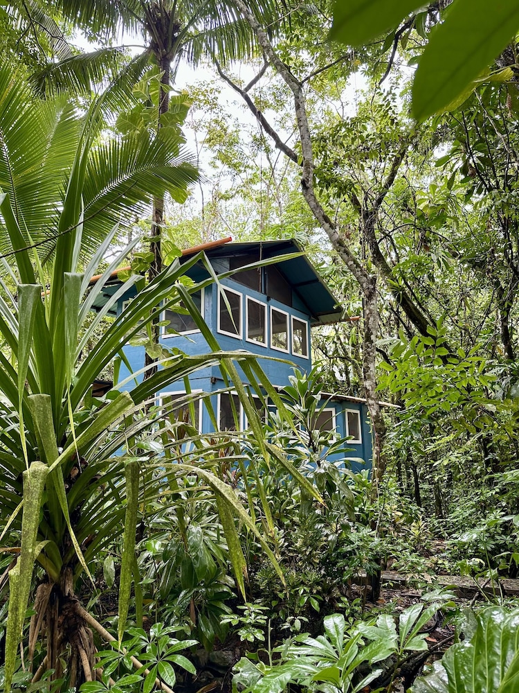 Mariposa Cabin, River View photo 1