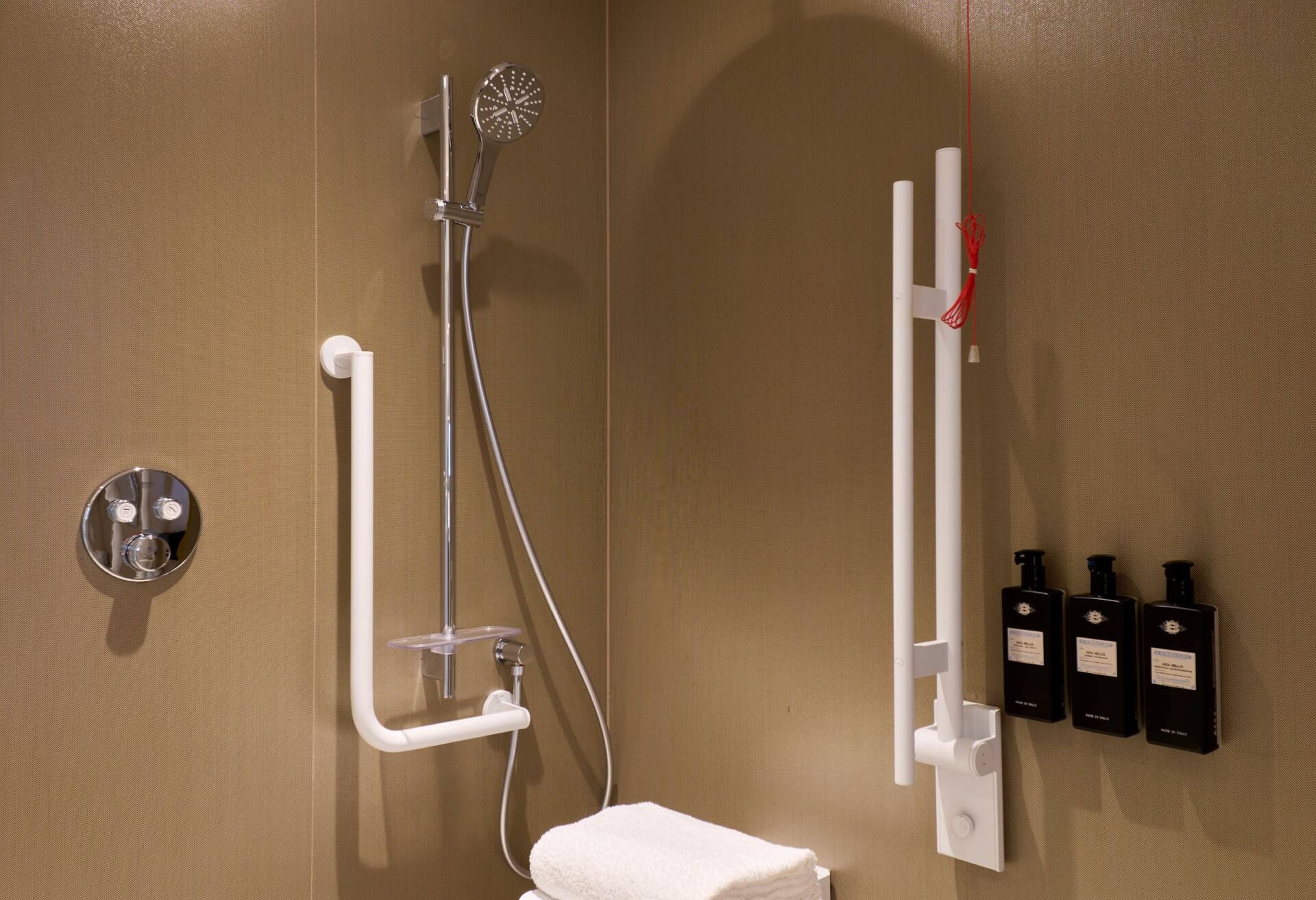 Hotel Saski Krakow Curio Collection by Hilton, Billede 2