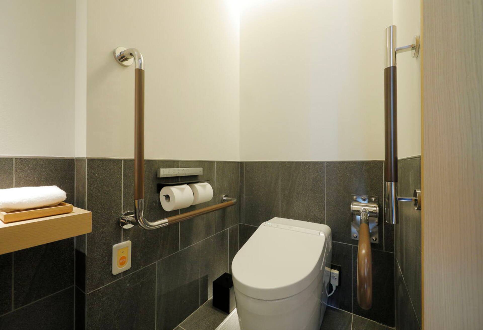 Deluxe Accessible Room Twin