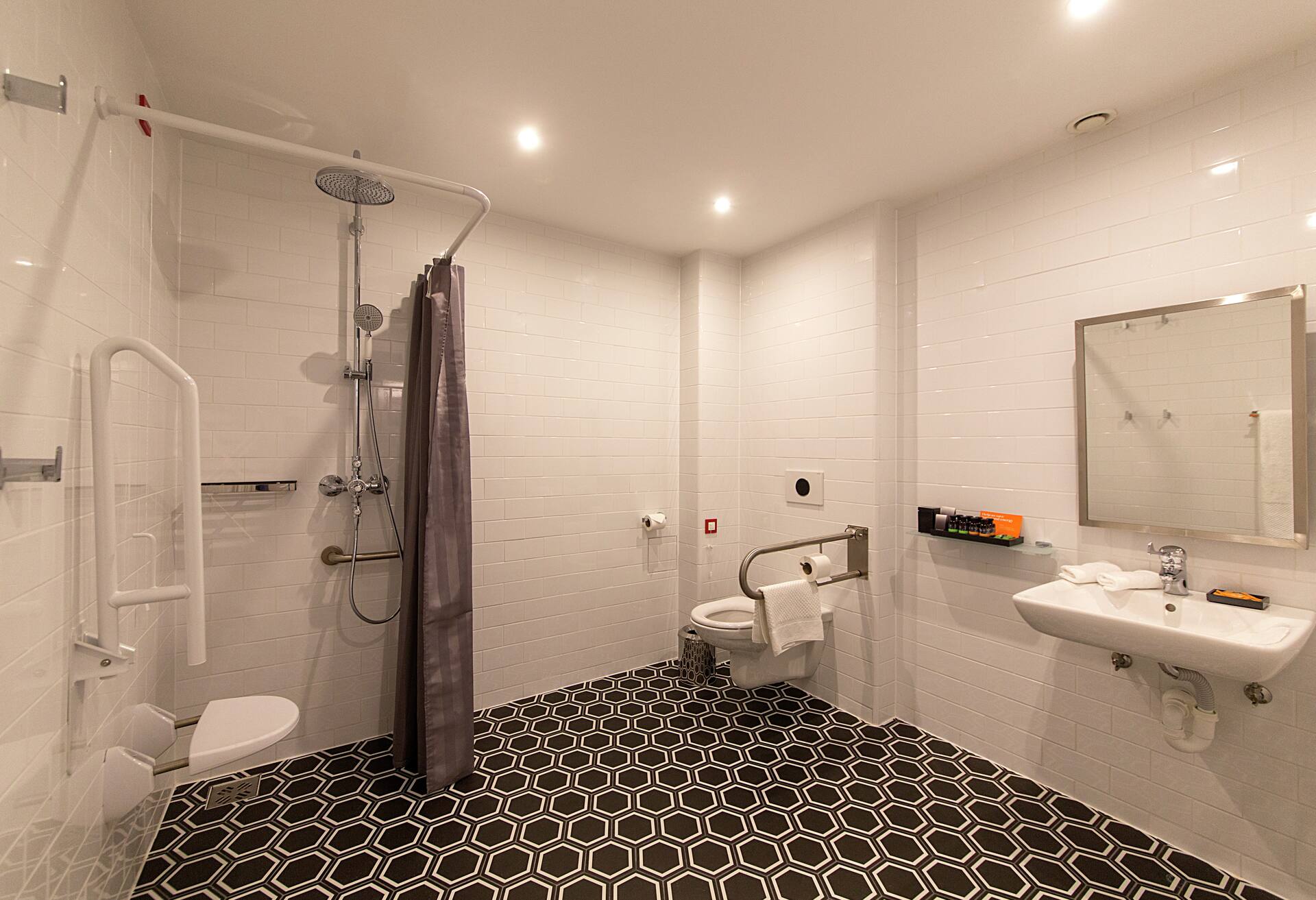 King Accessible Room