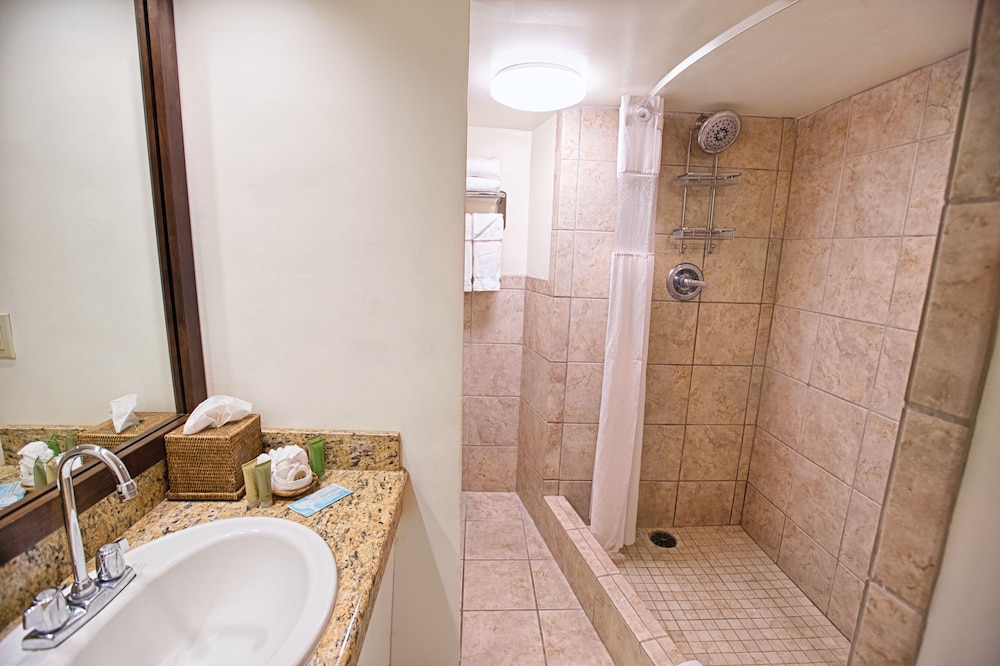 Executive Suite, 1 Bedroom, Kitchenette - Photo 5