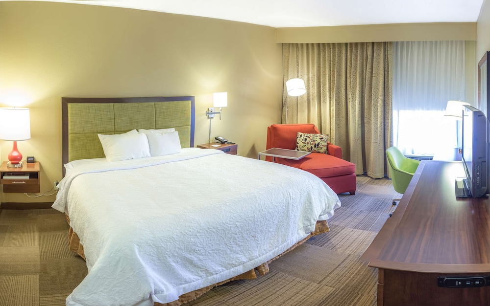 Deluxe Room, 1 King Bed, Non Smoking photo 3