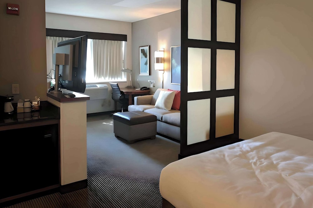 Suite, 1 King Bed with Sofa bed, Accessible, Non Smoking