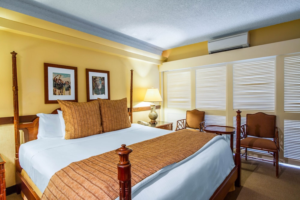 Classic Room, 1 King Bed, City View photo 3