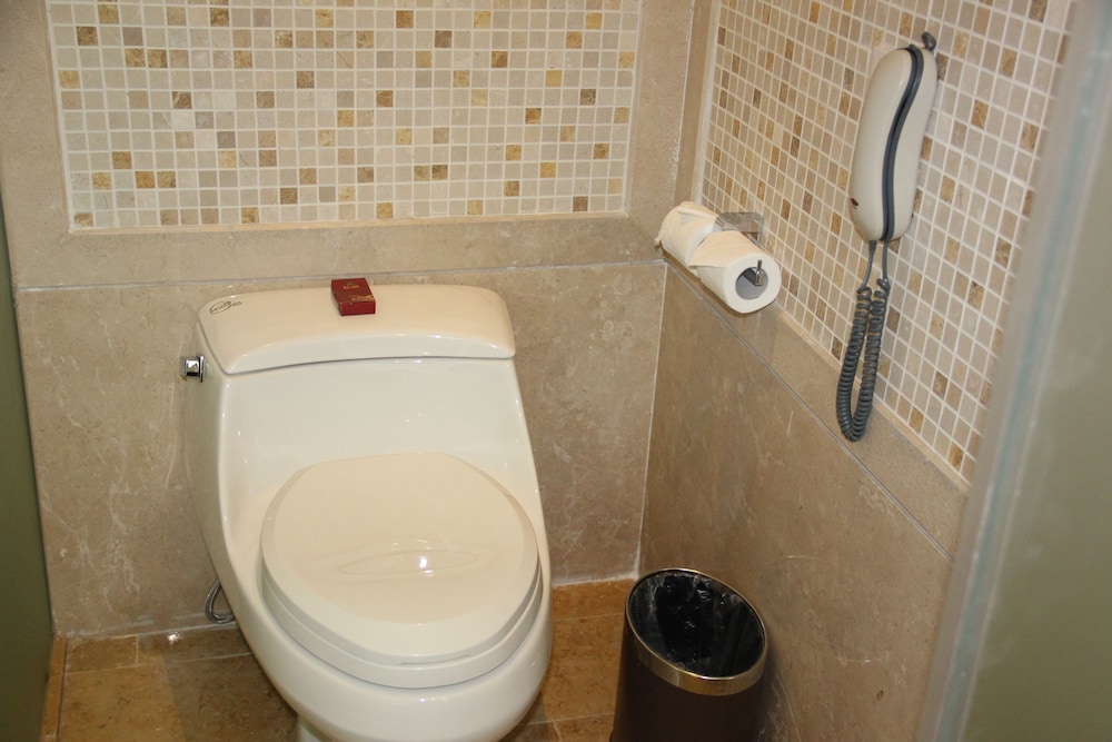 Deluxe Twin Room (Mainland China Domestic Guests Only) photo 3