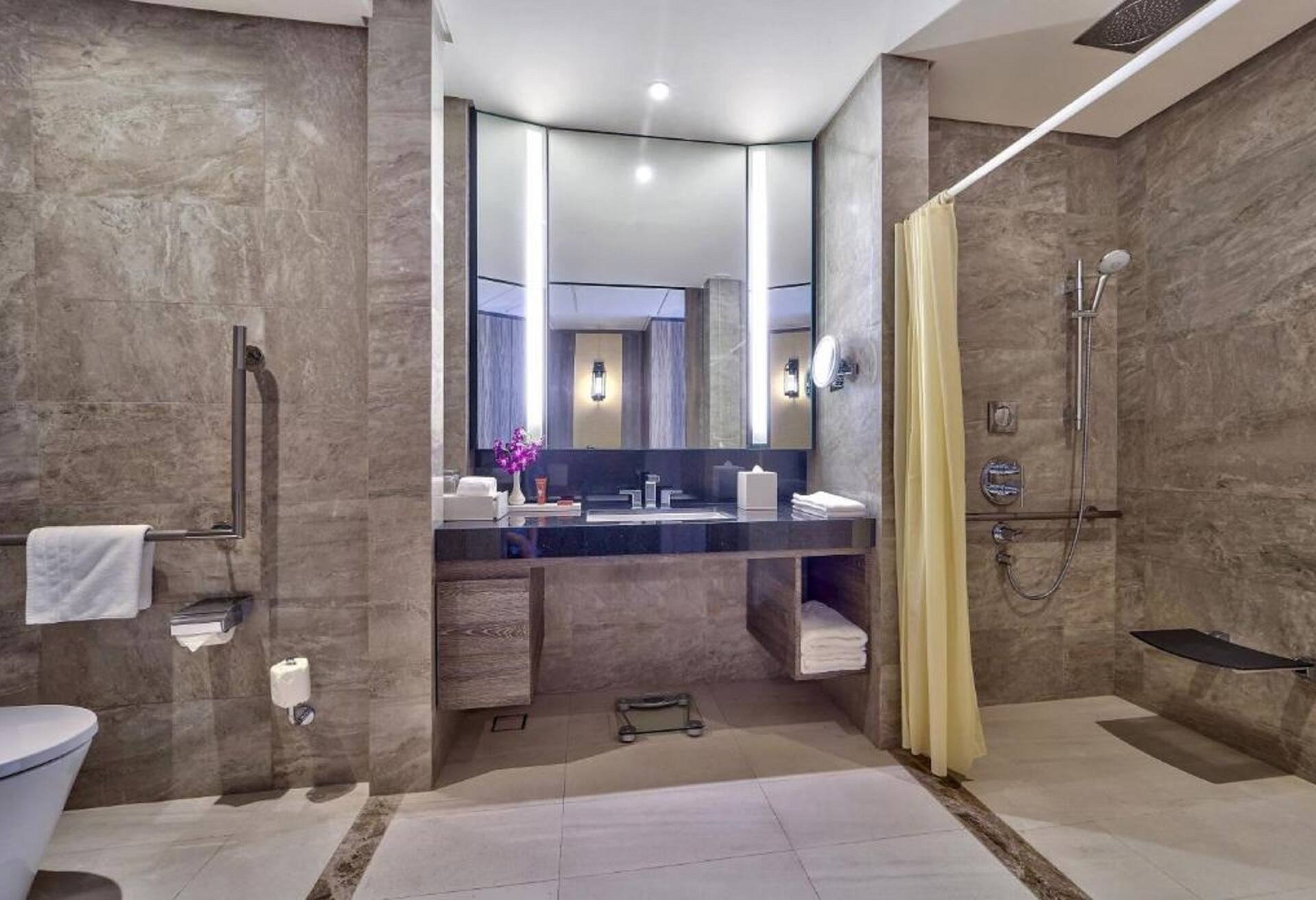 King Accessible Deluxe Room photo 3