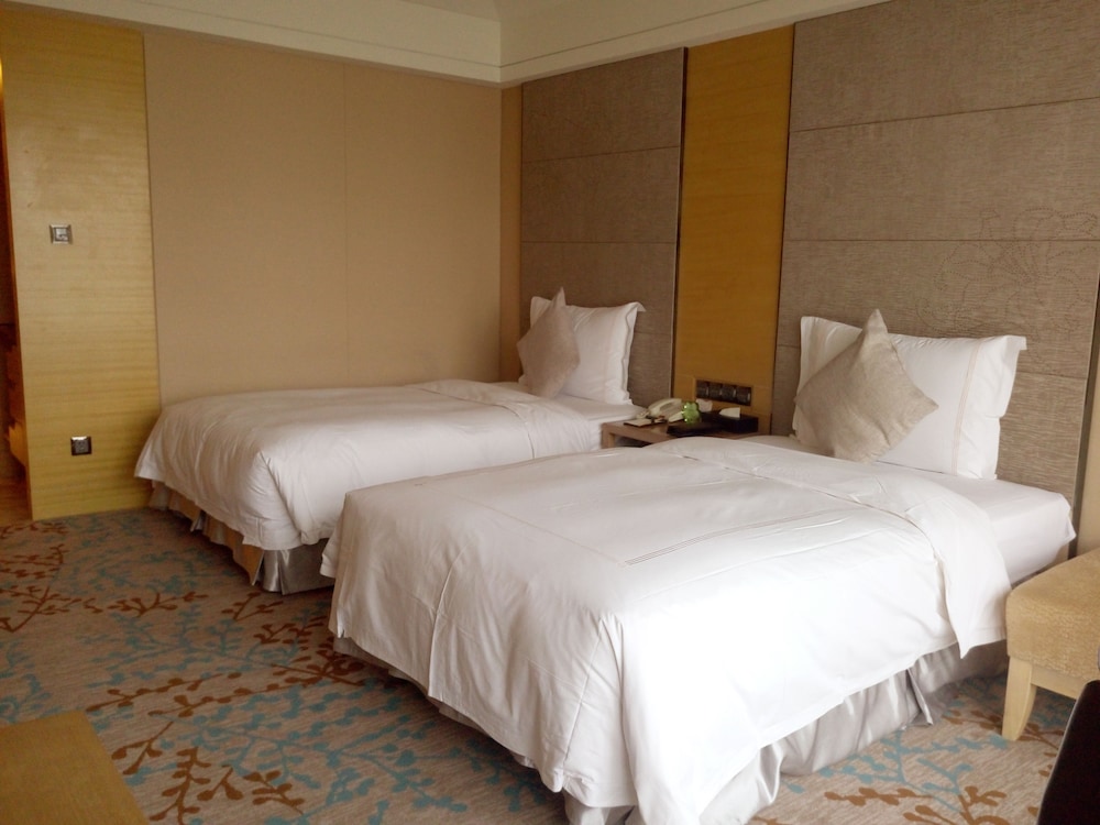Deluxe Twin Room photo 2