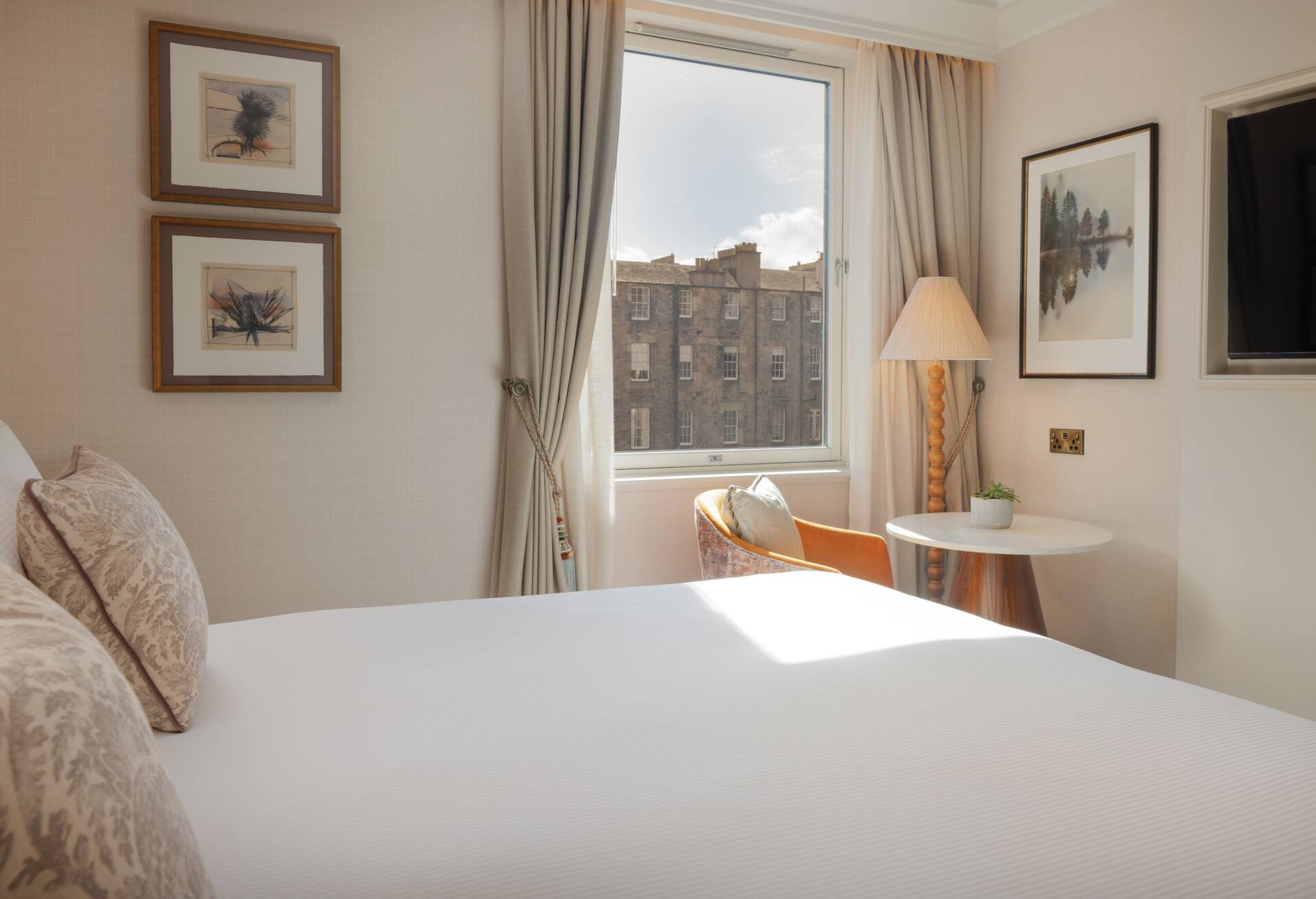 King Superior Room photo 1