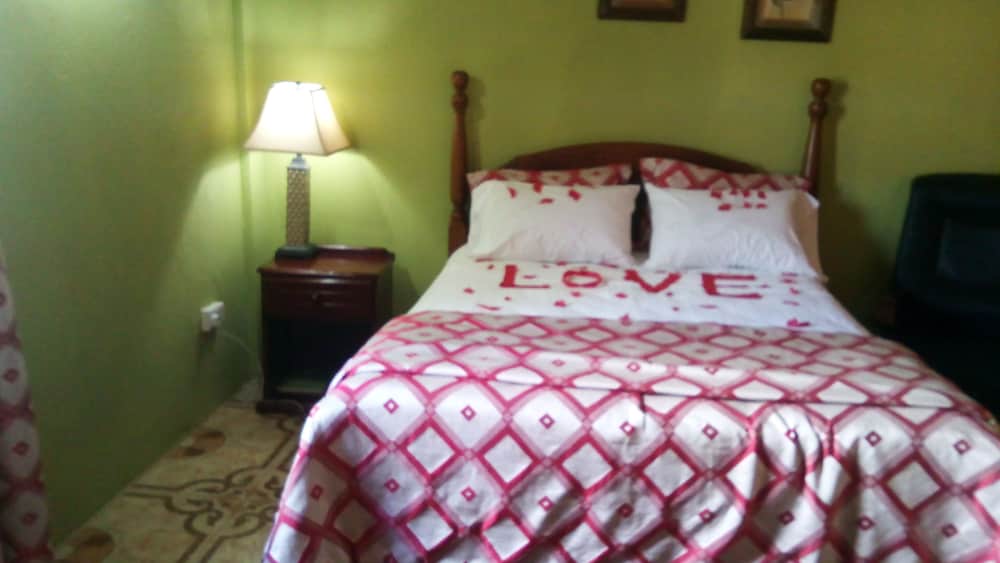 Room, 1 Queen Bed photo 3