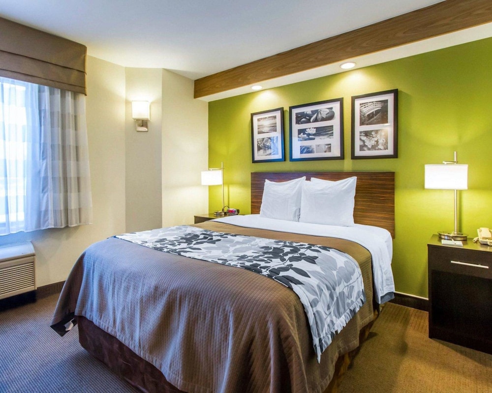 Standard Room, 1 Queen Bed, Non Smoking - Photo 1