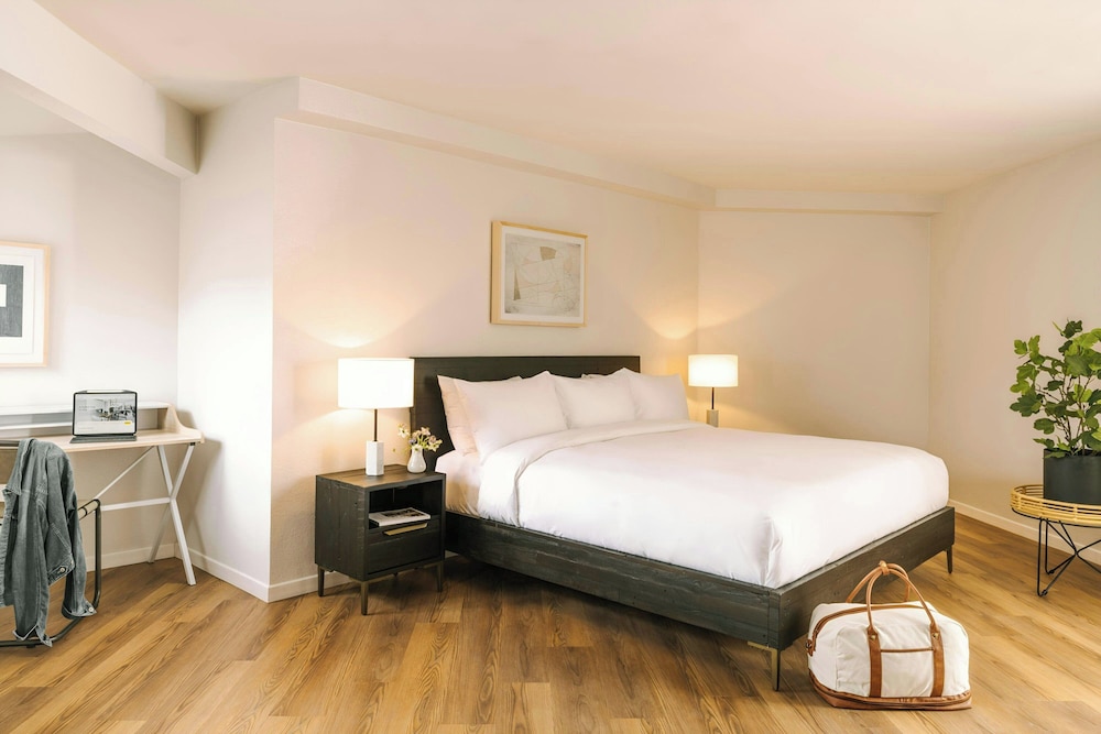 Room, 1 King Bed (Mobility/Hearing Access, Roll-in Shwr) photo 1