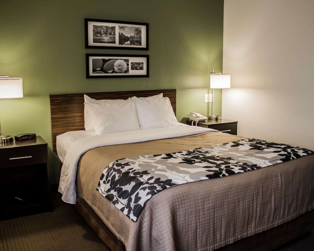 Standard Room, 1 Queen Bed, Accessible, Non Smoking - Photo 3