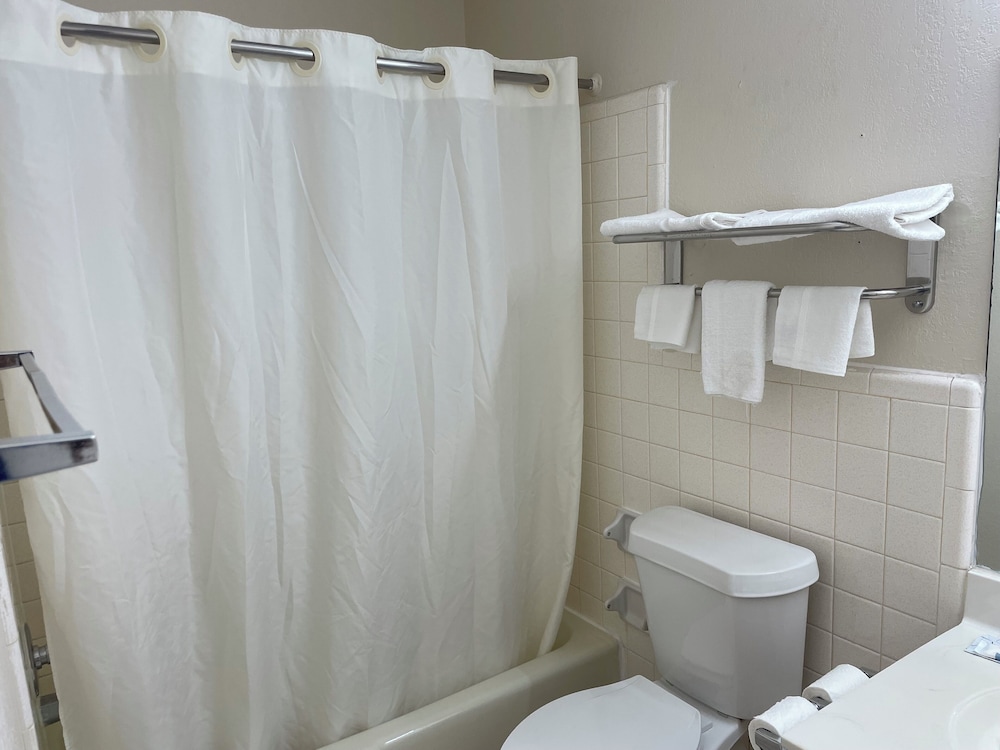 Basic Single Room