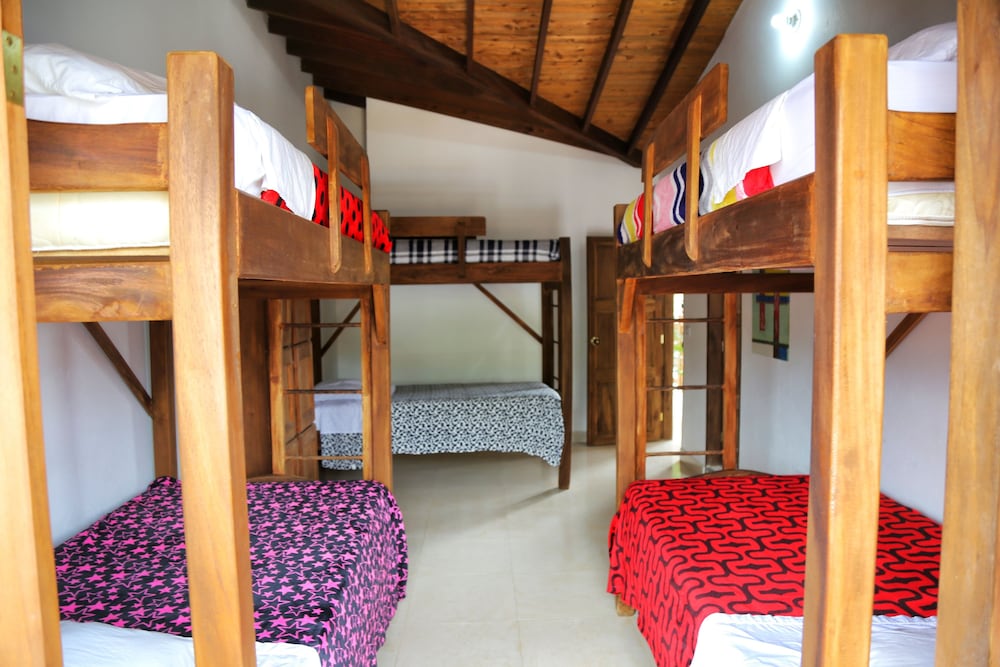 Shared Dormitory, Non Smoking photo 2