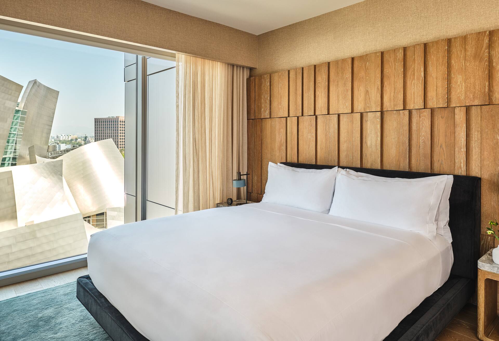 Corner Suite 1 King Bed Hearing Accessible