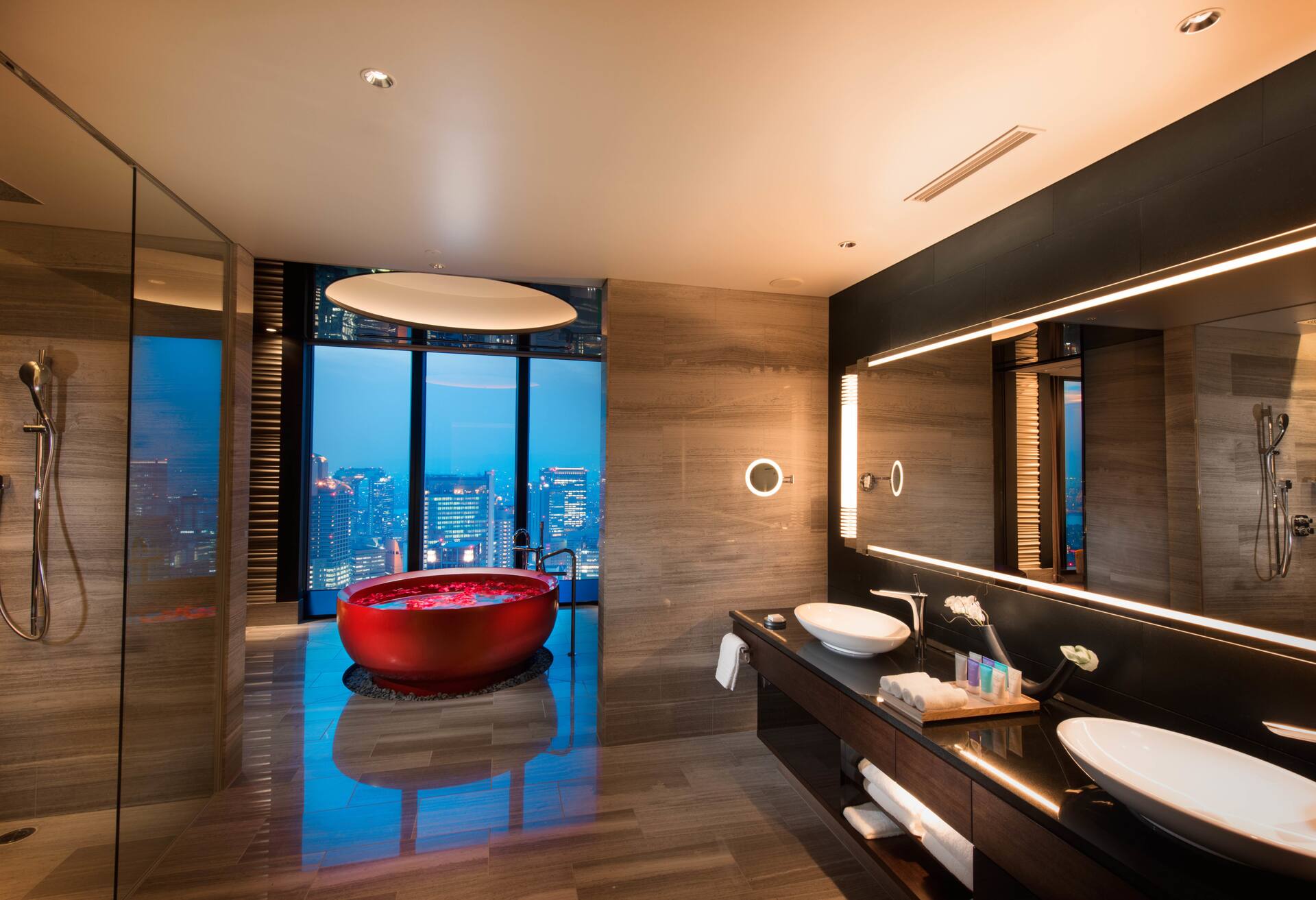 Conrad Penthouse thumbnail 5