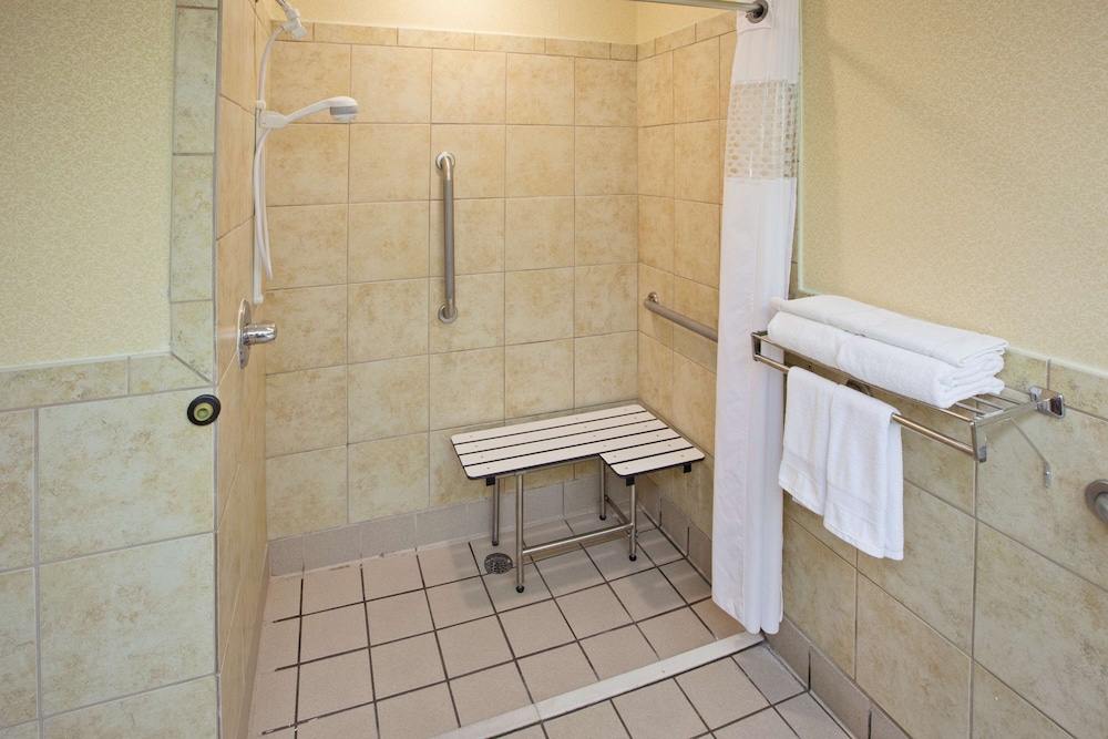 Room, 1 King Bed, Accessible, Non Smoking (Roll-in Shower) photo 2