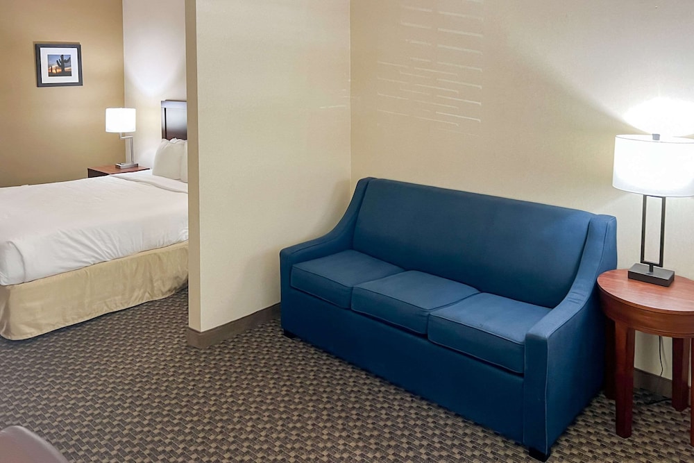 Suite, 1 King Bed, Sofa Bed, Sitting Area, Roll-in Shower, Accessible, Non-Smoking - Photo 3