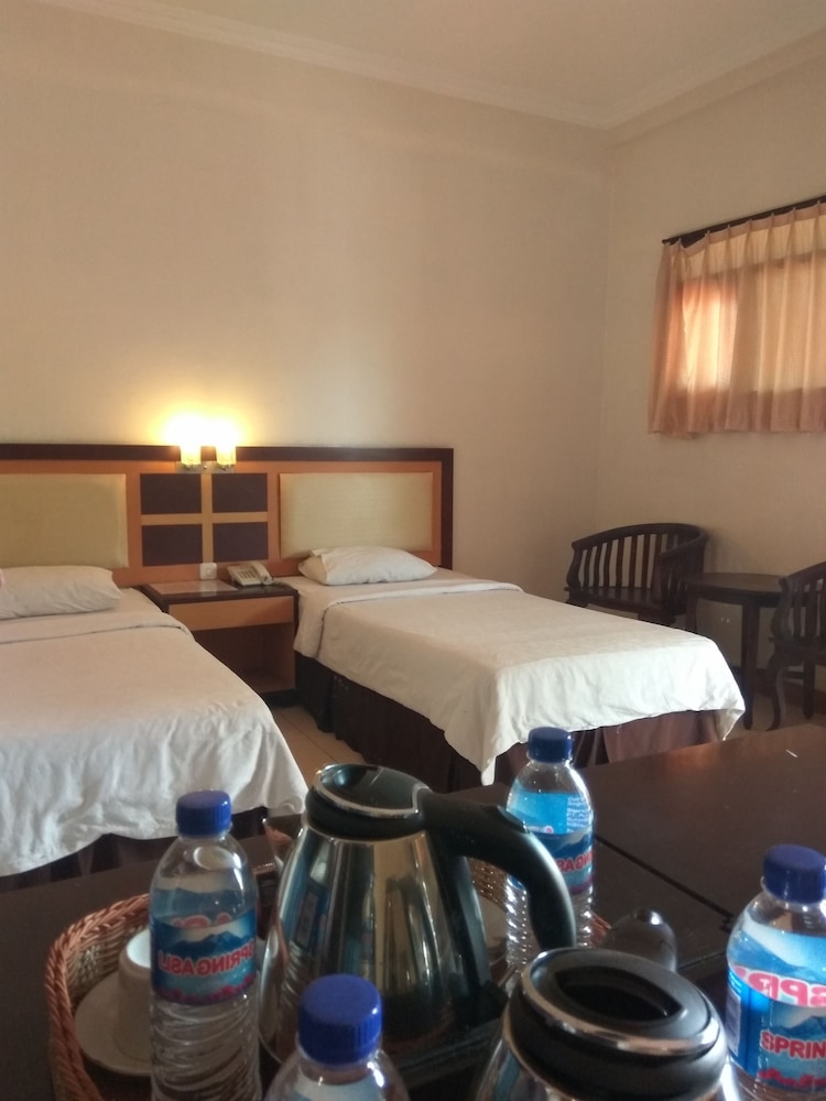 Deluxe Double or Twin Room photo 2