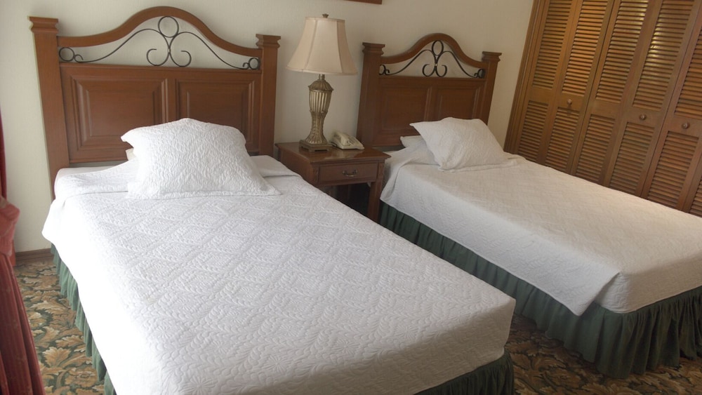 Standard Twin Room photo 1
