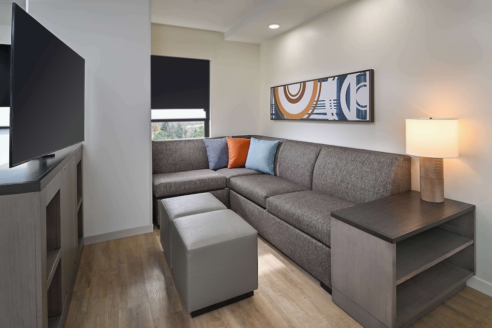 Studio, 1 King Bed with Sofa bed (Kitchen Suite) - Photo 3