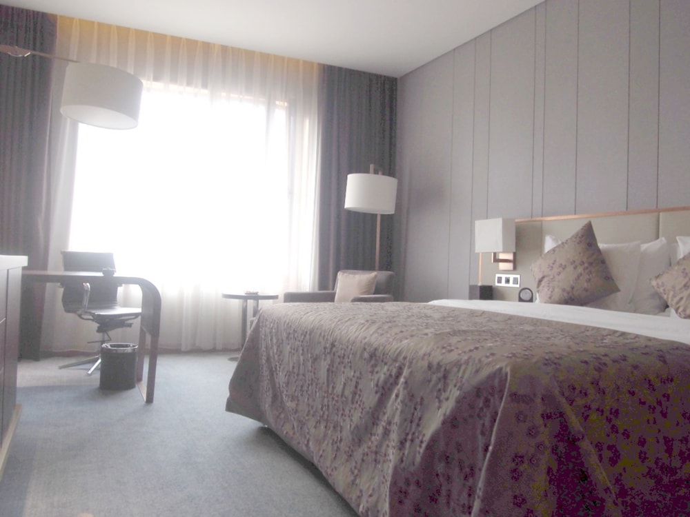 Deluxe King Room photo 1