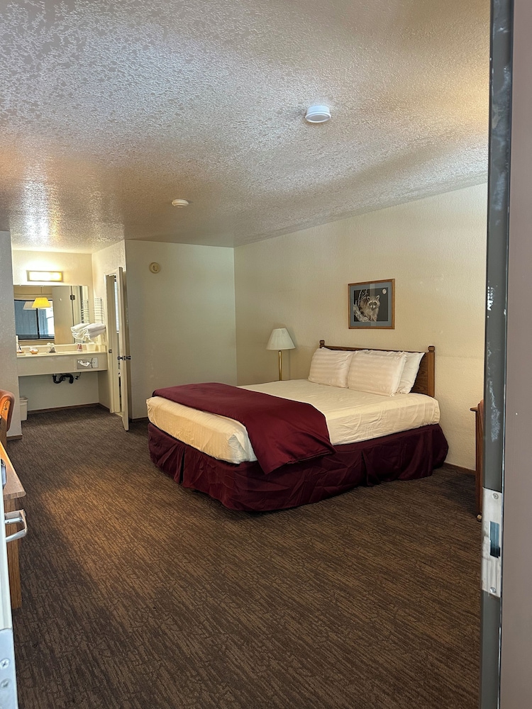 Basic Single Room