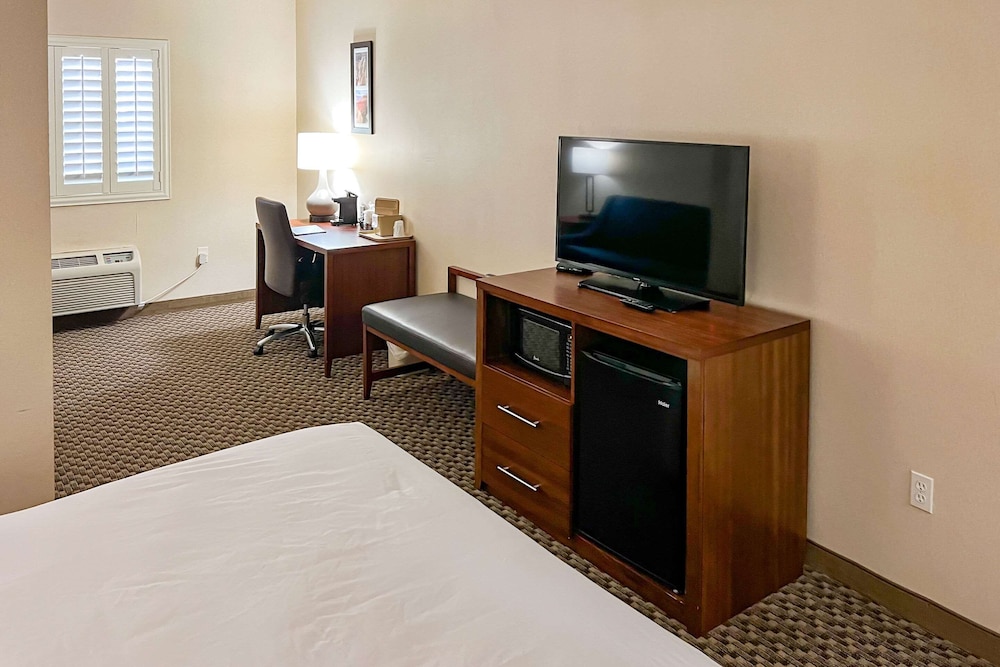 Suite, 1 King Bed, Sofa Bed, Sitting Area, Roll-in Shower, Accessible, Non-Smoking - Photo 4