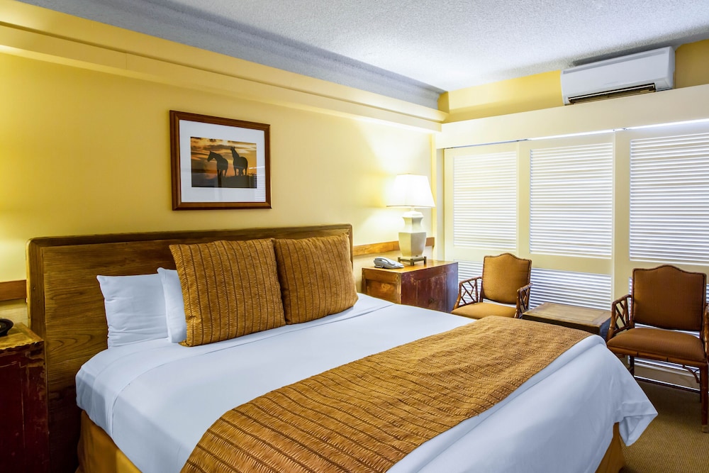 Deluxe Room, 1 King Bed, City View photo 3