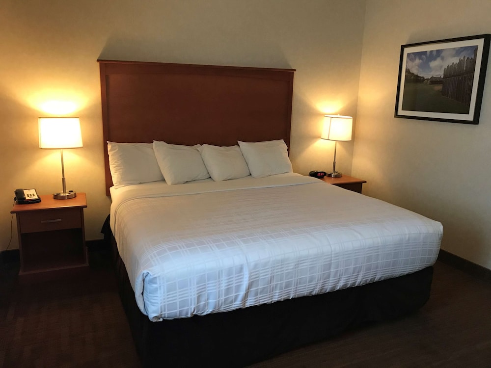 Suite, 1 King Bed with Sofa bed, Non Smoking, Refrigerator & Microwave (with Sofabed)