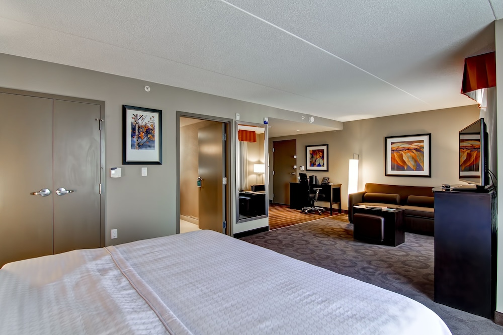 Studio Suite, 1 King Bed thumbnail 5