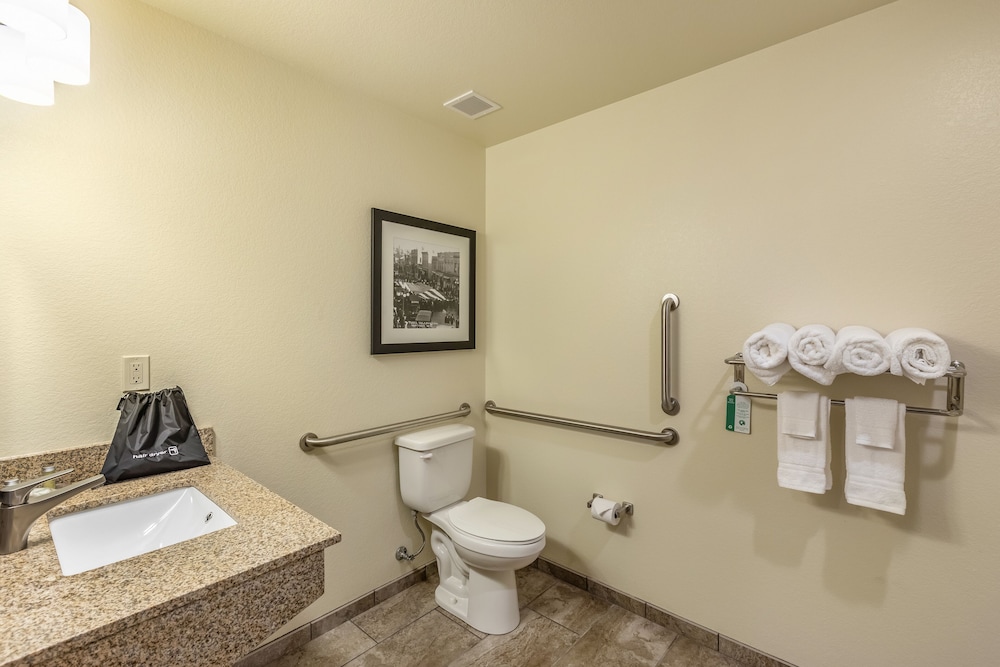 Room, 1 King Bed, Accessible Benched Tub, Non Smoking - Photo 5