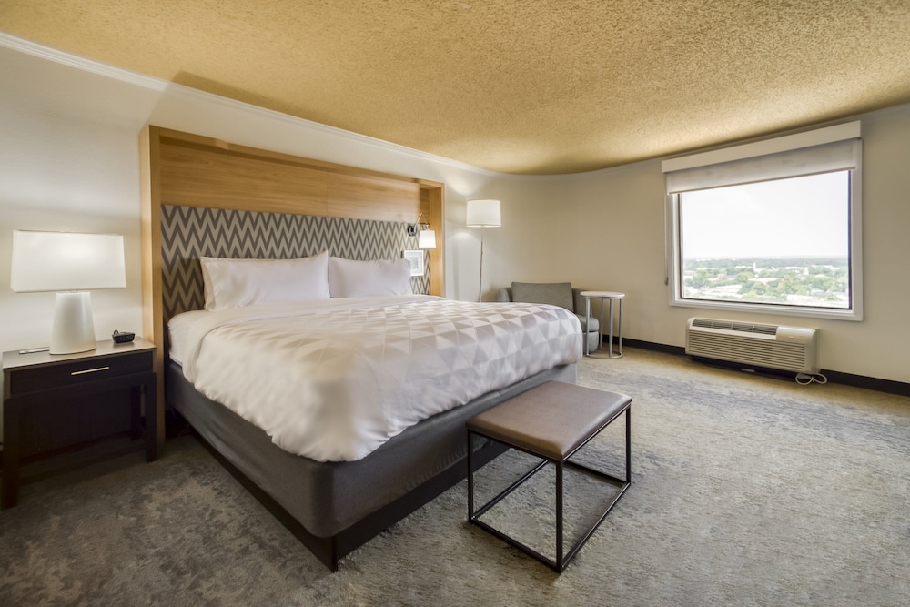 Suite, 1 King Bed - Photo 1