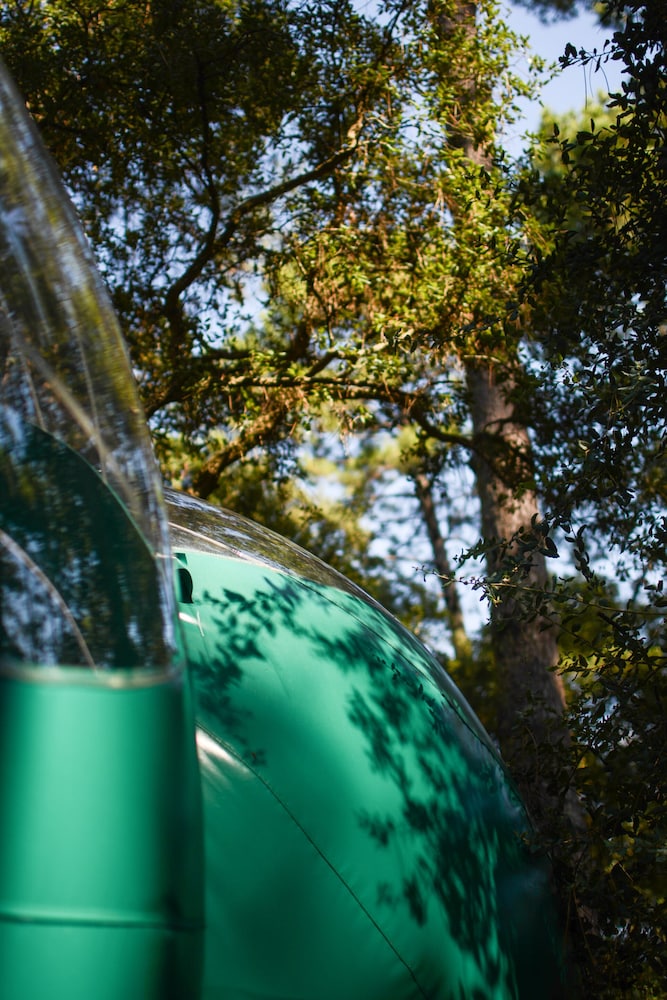 Tent, Ensuite (Bulles) - Photo 7