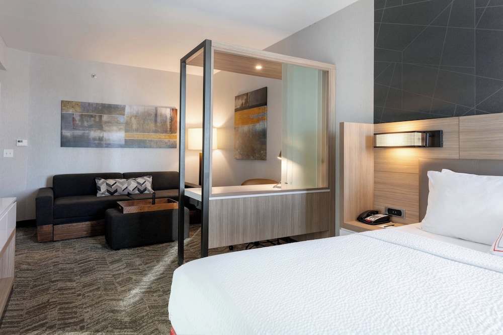 Suite, 1 King Bed (Mobility/Hearing Access, Roll-In Shwr) photo 3