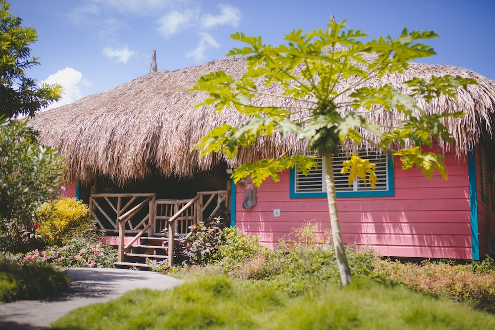 Family Bungalow, 2 Bedrooms photo 3
