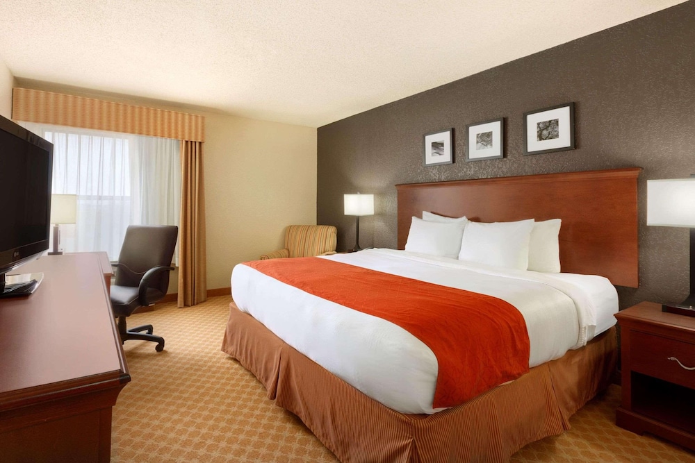 Room, 1 King Bed photo 1