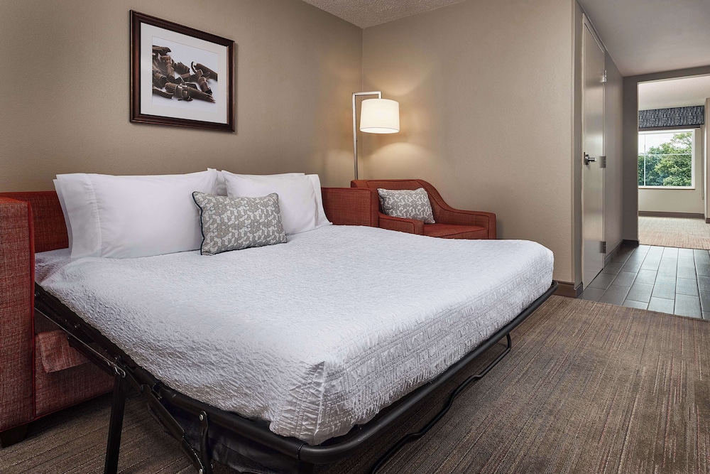 Suite, 1 King Bed, Accessible, Non Smoking - Photo 6