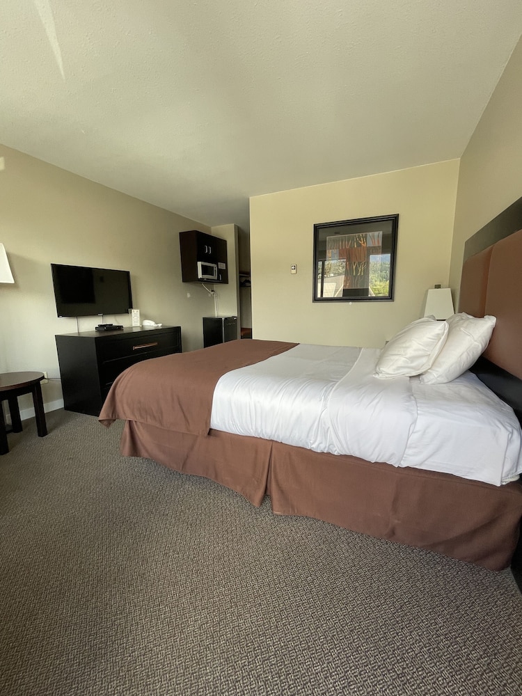 Standard Single Room photo 1