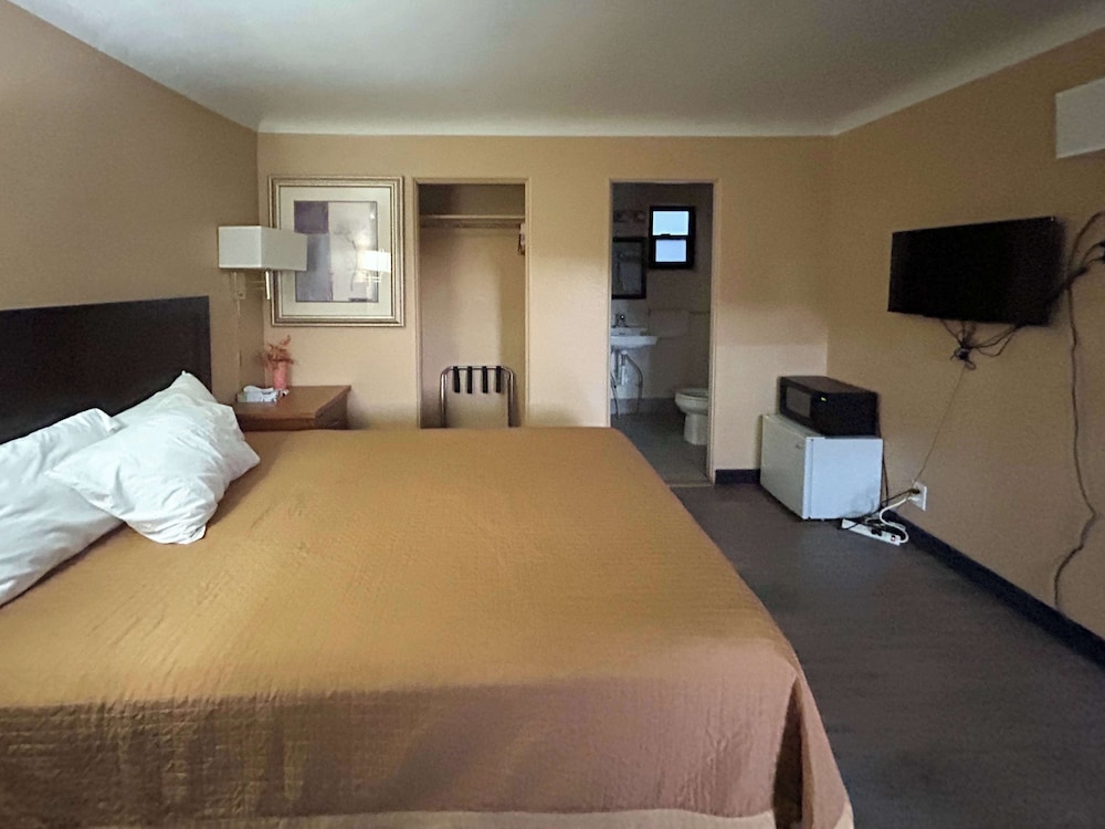 Deluxe Room, 1 King Bed, Non Smoking, Refrigerator & Microwave - Photo 1