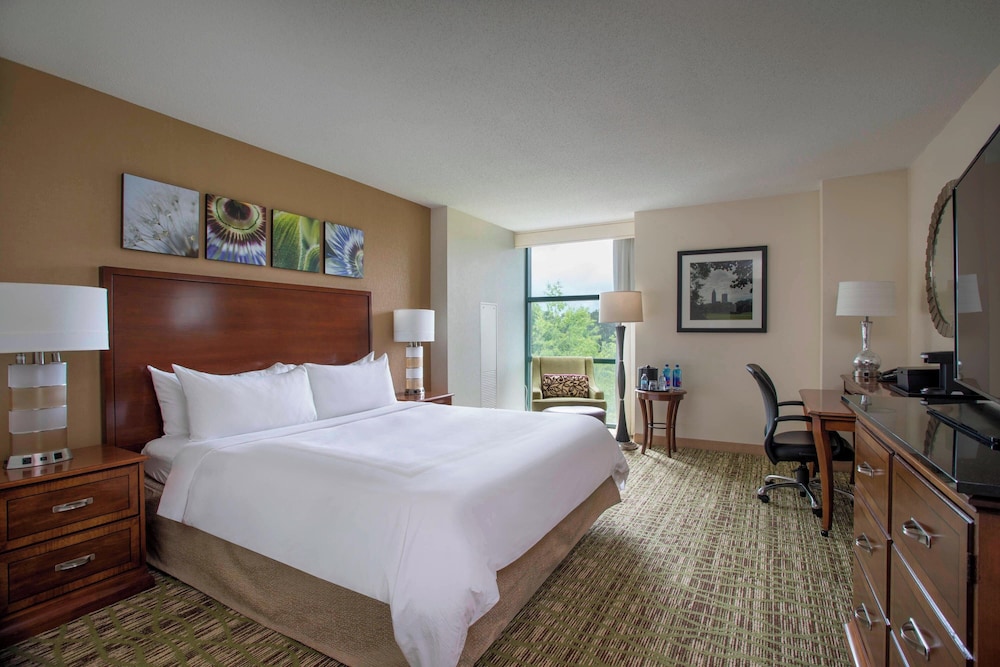 Room, 1 King Bed (Hearing Accessible) - Photo 2