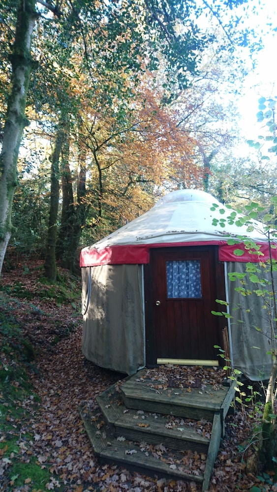 Small Secluded Woodland Yurt photo 1