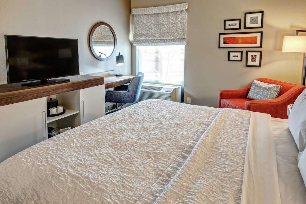 Room, 1 King Bed, Mobility Accessible, Roll-In Shower, Non Smoking