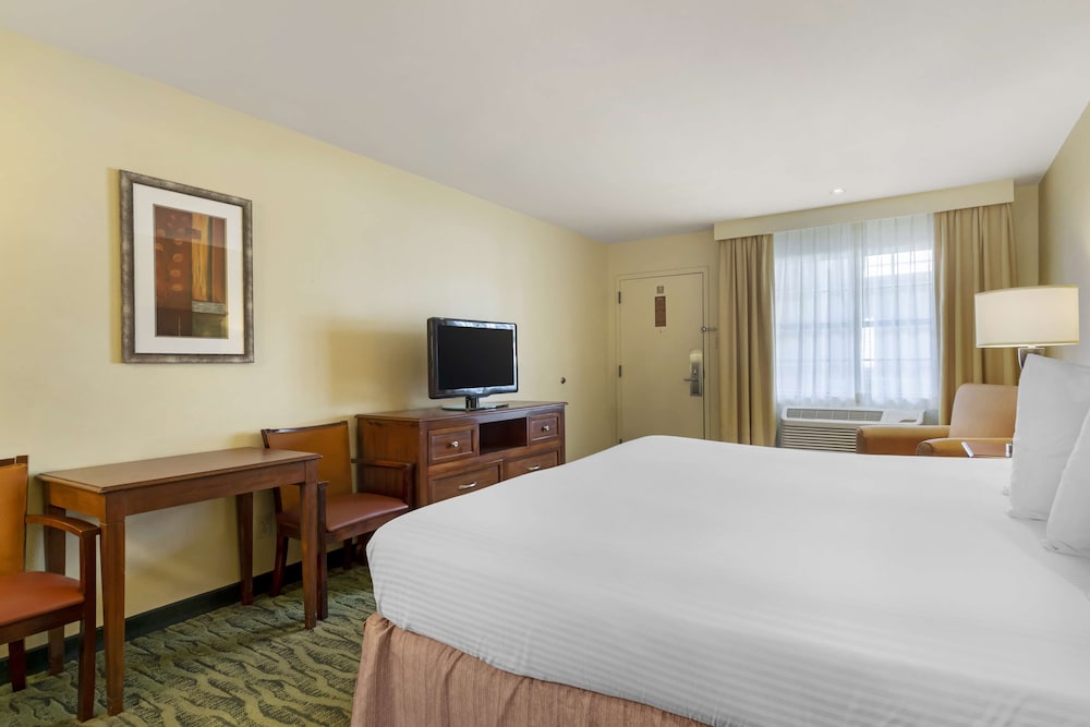 Standard Room, 1 King Bed, Non Smoking, Refrigerator & Microwave (1st Floor) photo 3