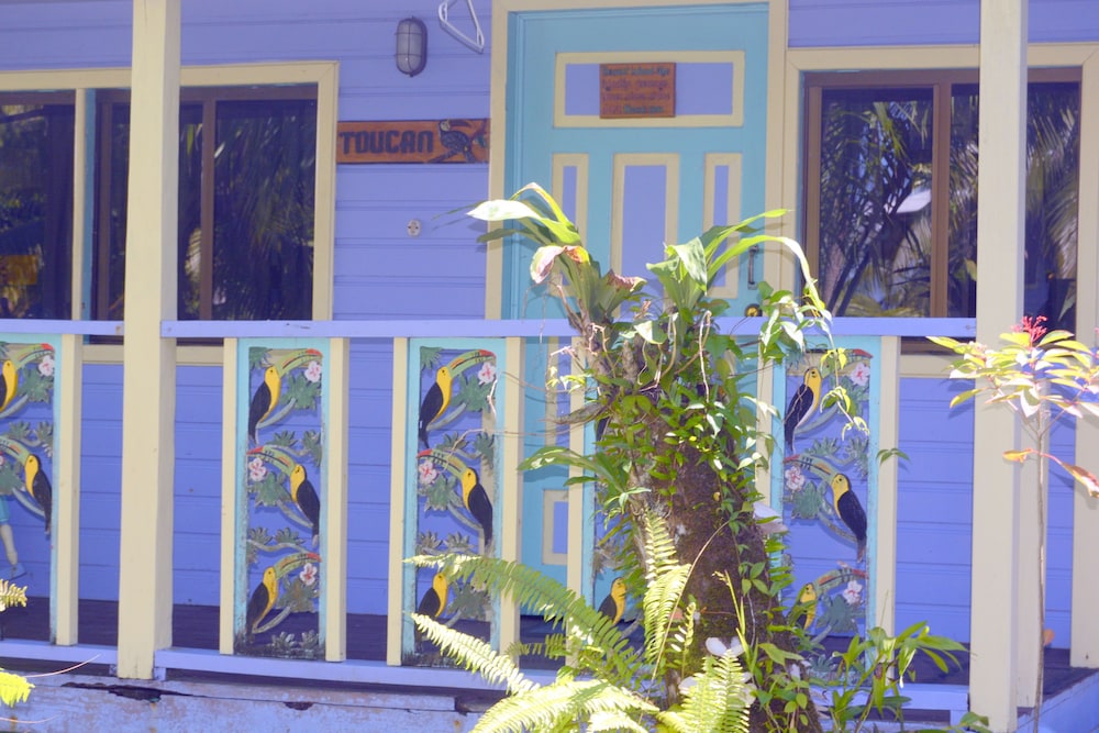 Toucan Family Cabin photo 3