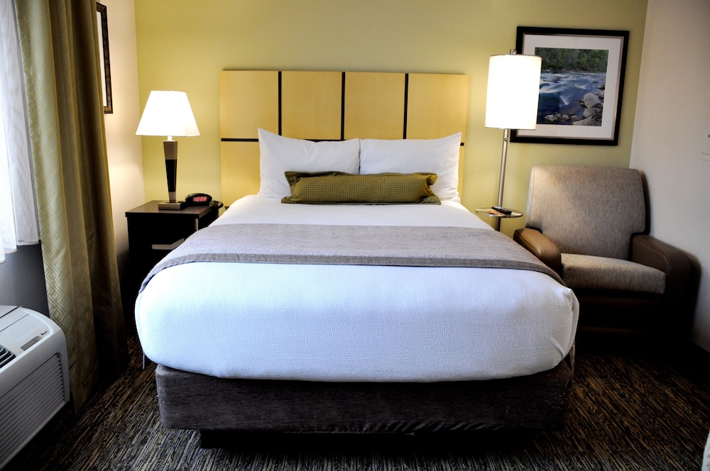 Studio Suite - Photo 1